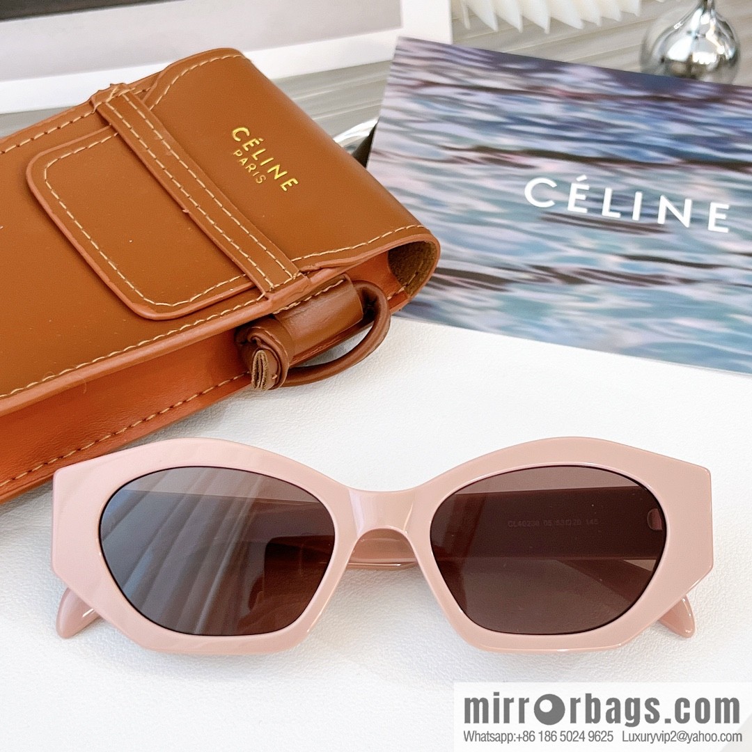 CELINE Large Frame Women's Sunglasses