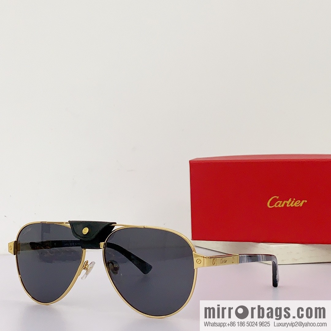 Cartier Metal Sheet Sunglasses