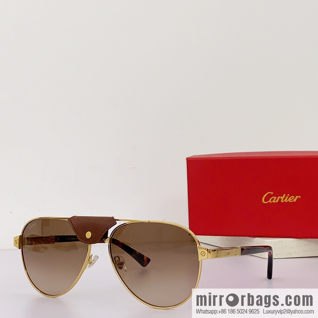 Cartier Metal Sheet Sunglasses