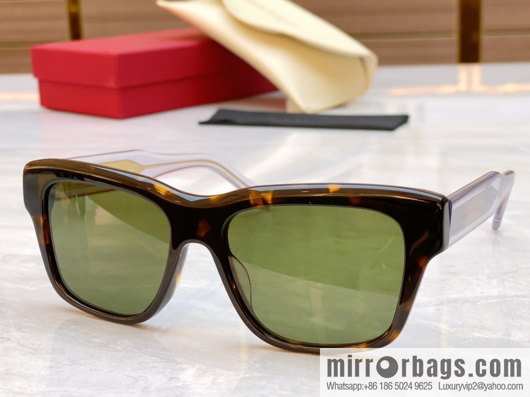 Ferragamo screen new sunglasses