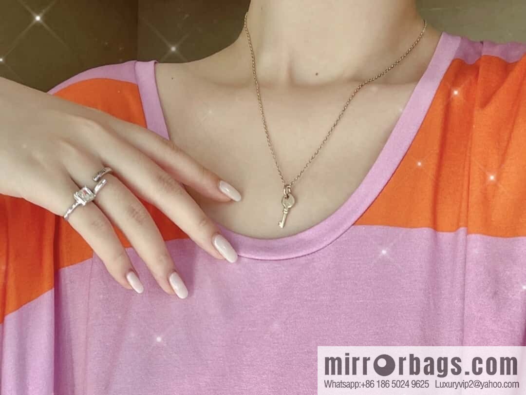 ❗️New ❗️ ☀️ Hermès HERMES Buffalo Horn Amulette Padlock Key Necklace ☀️