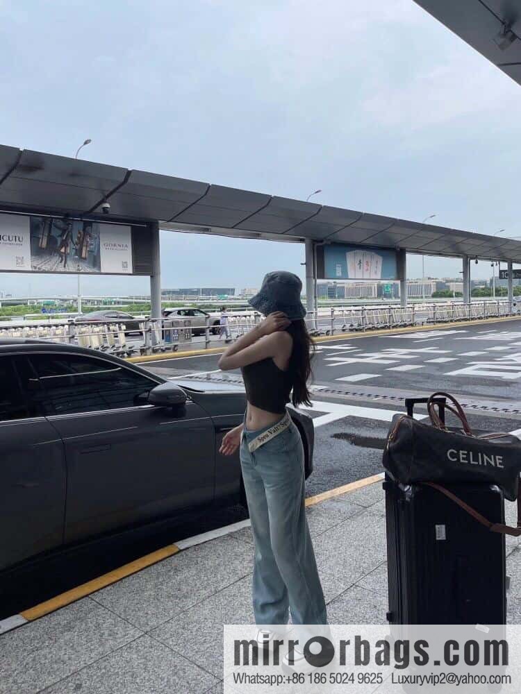 [Premium quality, all-steel hardware] CELINE2022 | The first Voyage printed Travel Bags series, model number: 191472 DOG material/brown