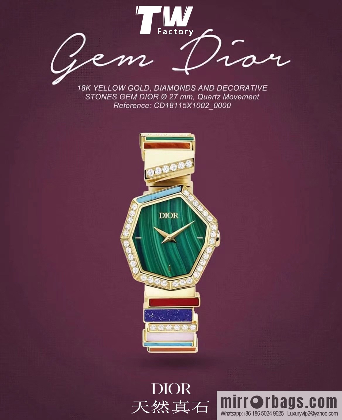 TW Factory Dior Original Swiss Quartz Movement Watch