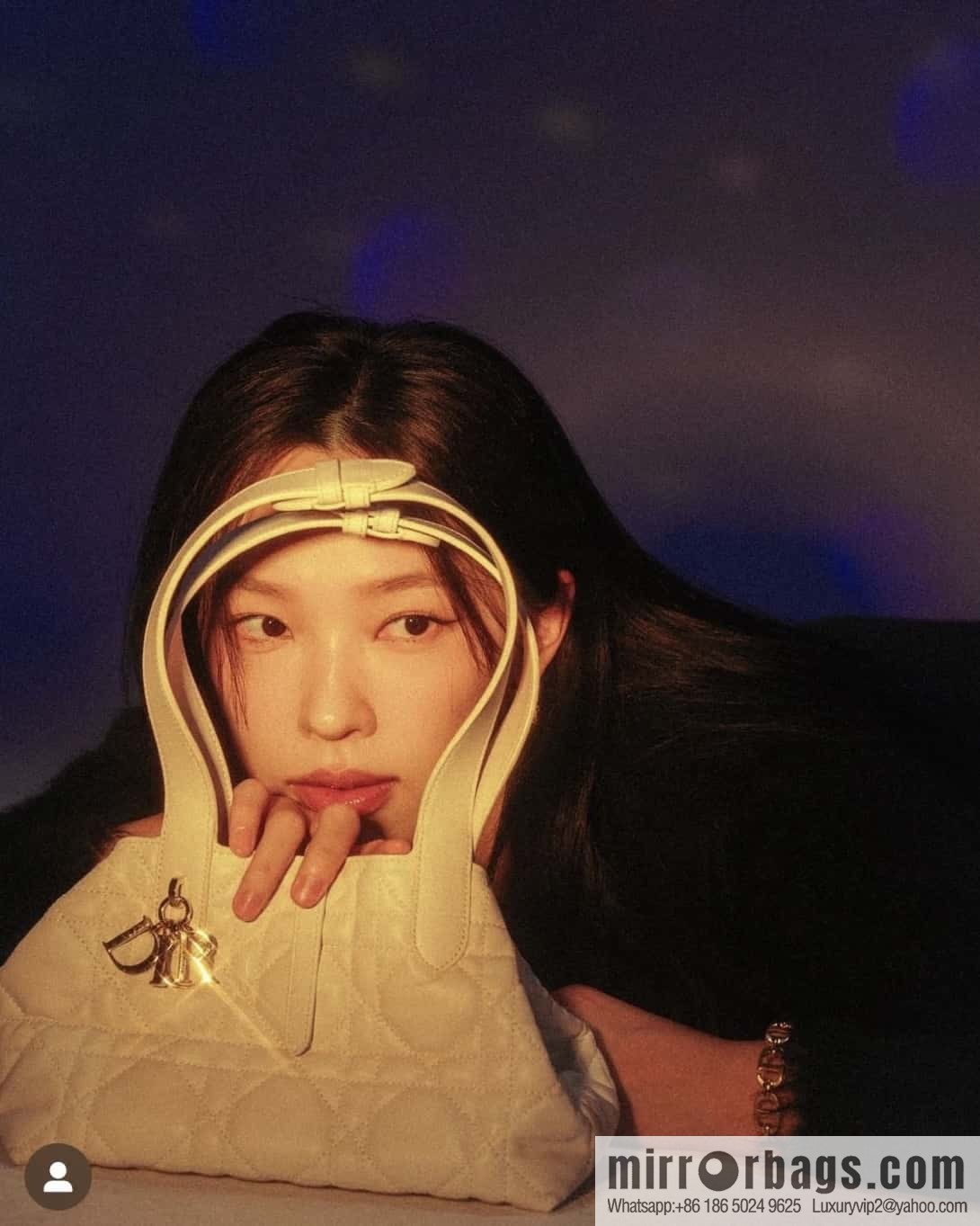 Small DIOR TOUJOURS handbag M2822OSHJ_M030