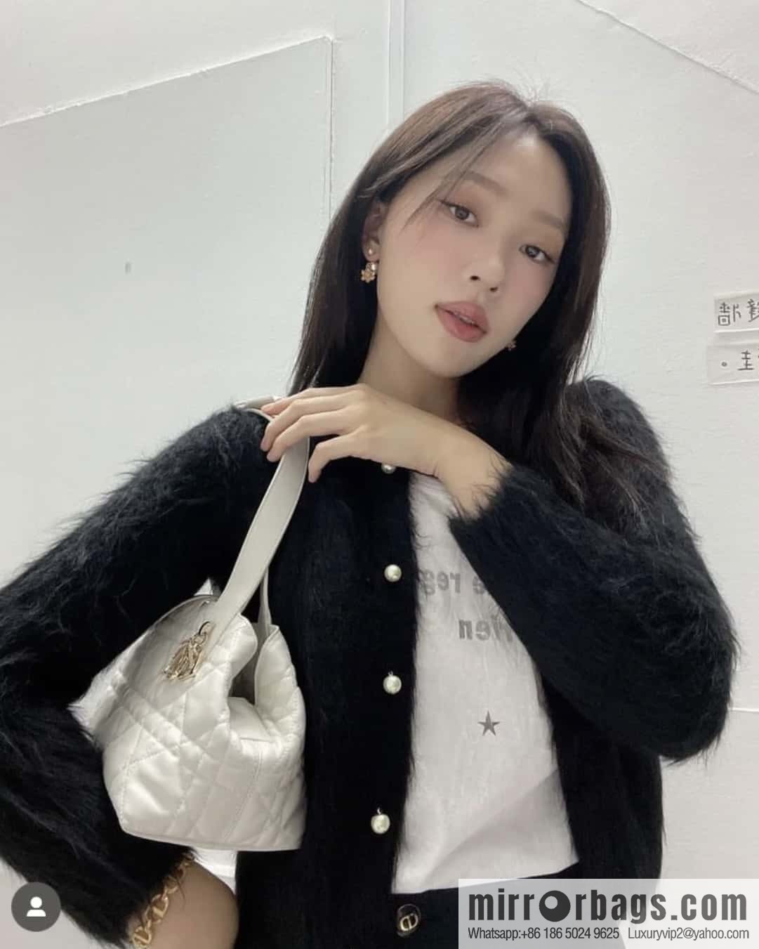 Small DIOR TOUJOURS handbag M2822OSHJ_M030