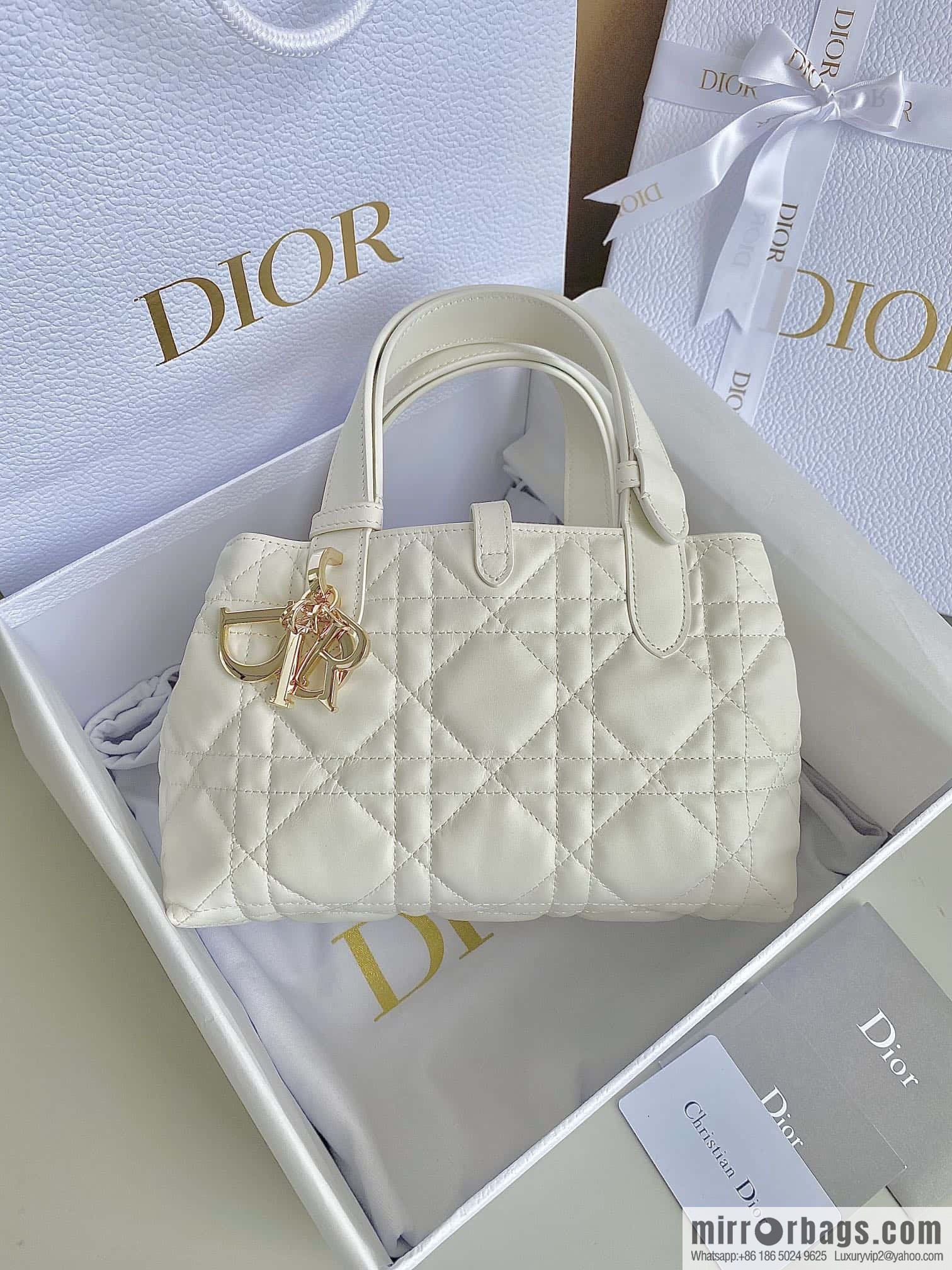 Small DIOR TOUJOURS handbag M2822OSHJ_M030
