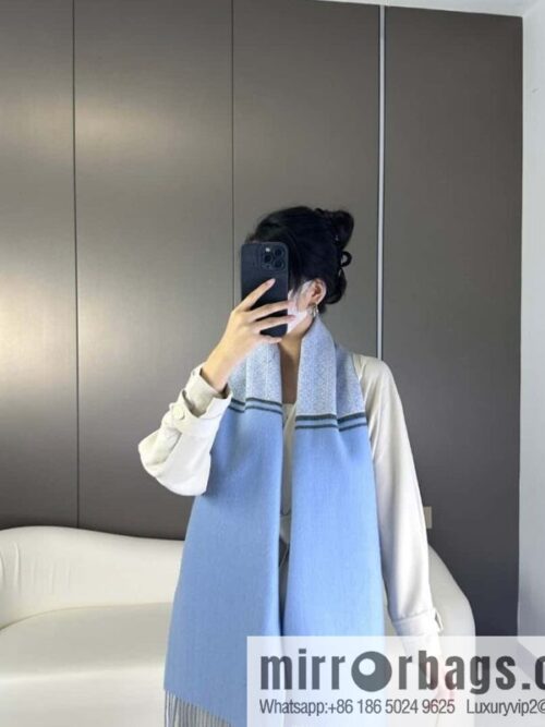 a1697121644522_2248-800x800gc1mondjm1b44178_20250629232536.jpg LOEWE Medium Gram Double Sided Wool and Cashmere Blended Double Sided Scarf