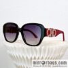 Ferragamo Ladies Sunglasses