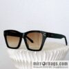 CELINE Large Box Unisex Sunglasses