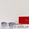Cartier Ultra Light Frame Unisex Sunglasses
