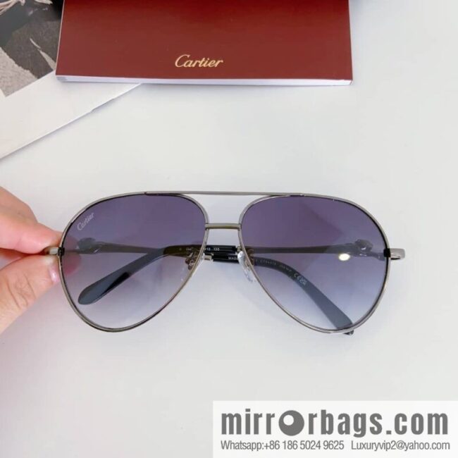 Cartier Metal Frame Unisex Sunglasses
