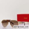 Cartier Metal Sheet Sunglasses