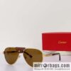 Cartier Metal Sheet Sunglasses
