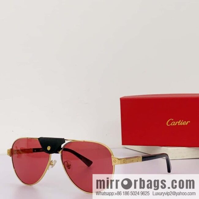 Cartier Metal Sheet Sunglasses