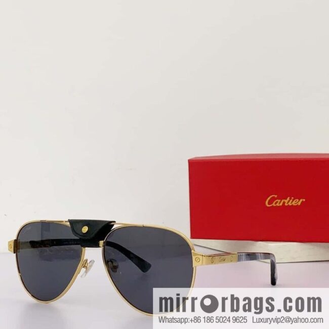 Cartier Metal Sheet Sunglasses