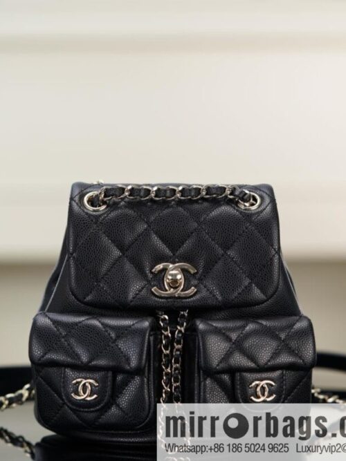 𝗖𝗛𝗔𝗡𝗘𝗟 23P new Duma shoulder, cowhide Mini AS3787