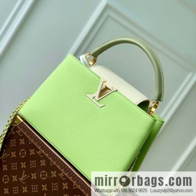 M21689 green with white M22055 CAPUCINES medium handbag